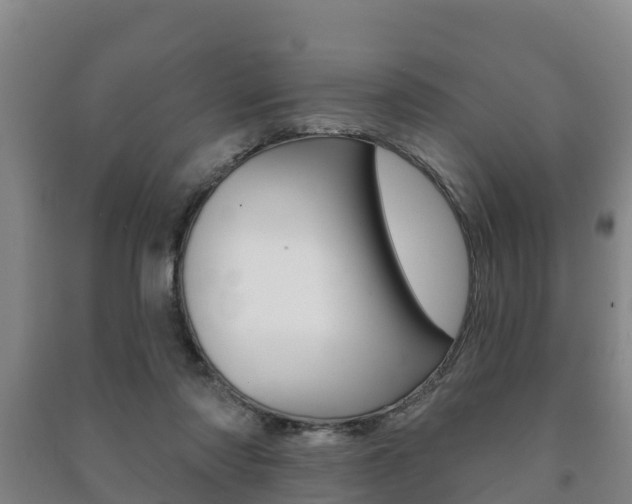 X0000091460310200708161112