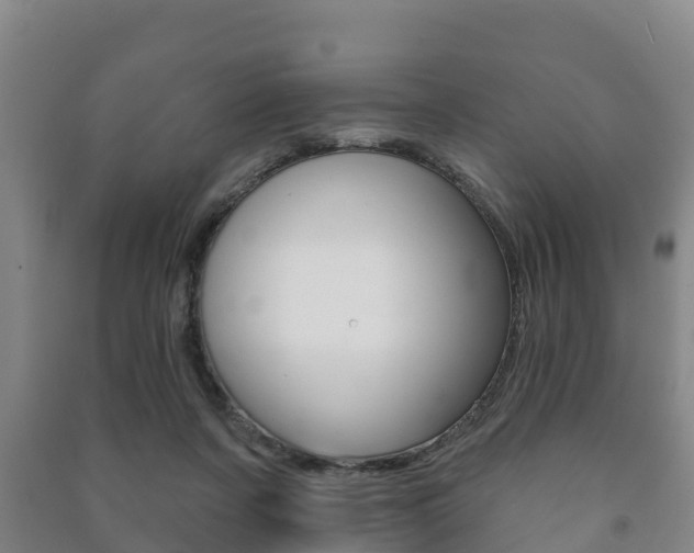X0000091460311200708161112