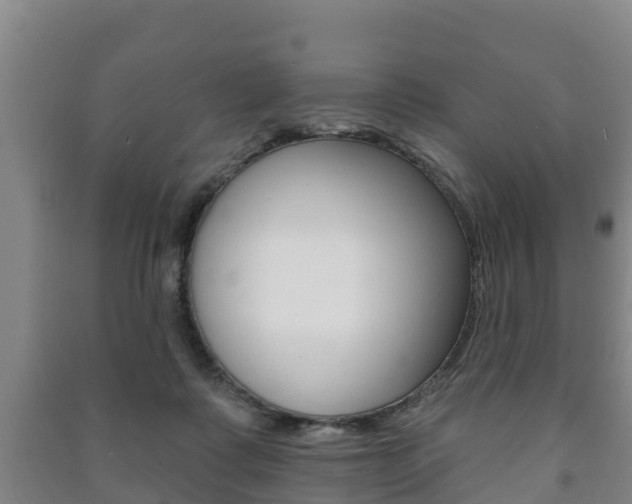 X0000091460315200708161112