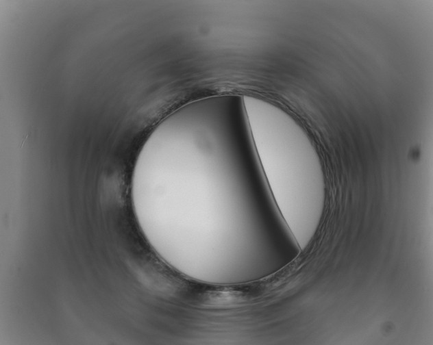 X0000091460316200708161112