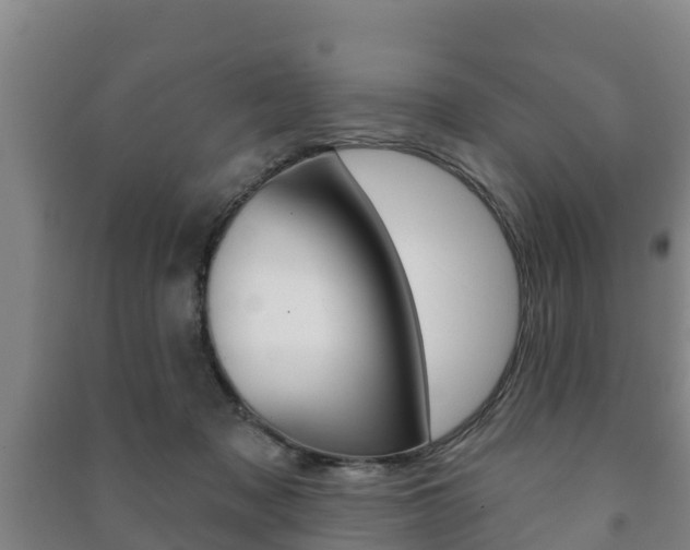 X0000091460317200708161112