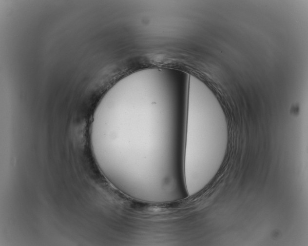 X0000091460319200708161112