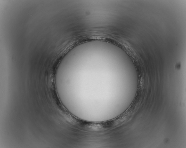 X0000091460322200708161112