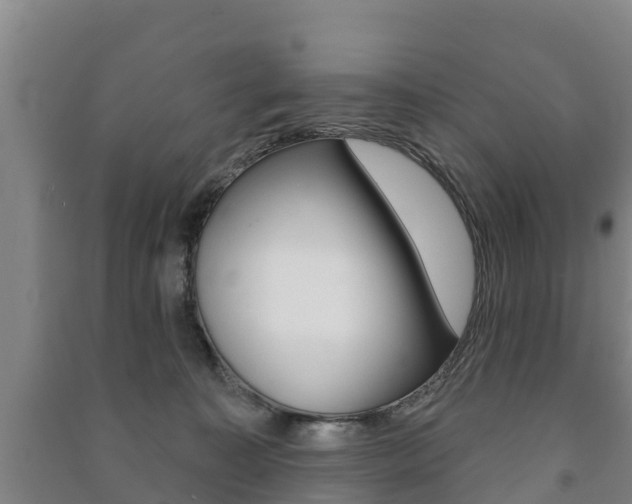 X0000091460323200708161112