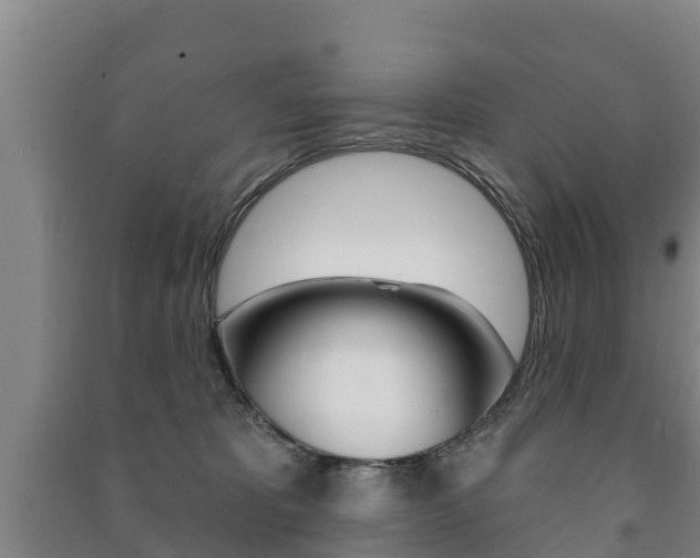 X0000091460325200708161112
