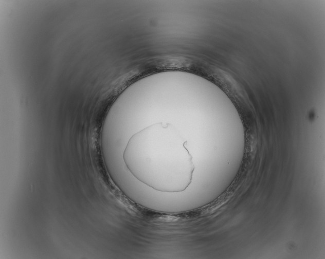 X0000091460326200708161112