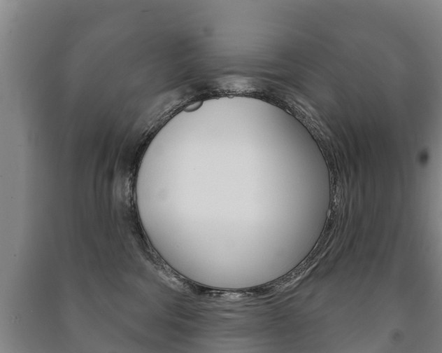 X0000091460330200708161112