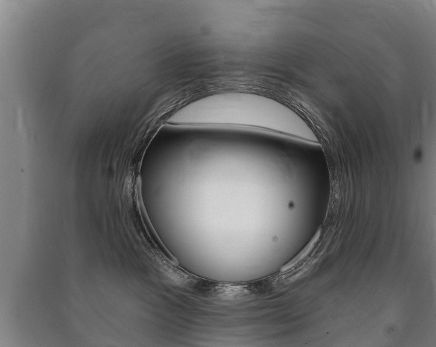 X0000091460333200708161112
