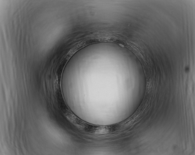 X0000091460335200708161112