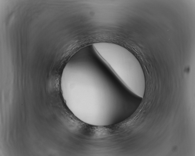 X0000091460336200708161112