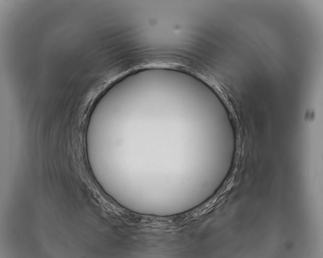X0000091460337200708161112