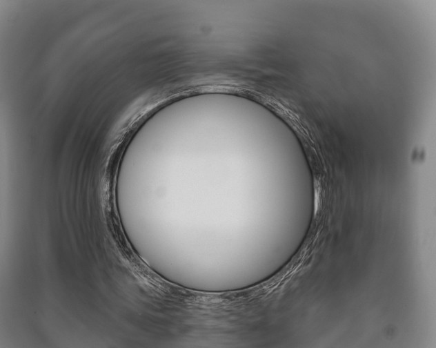 X0000091460339200708161112