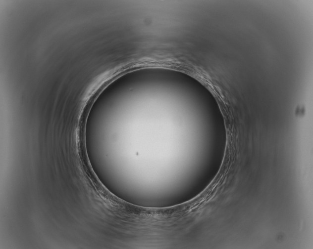 X0000091460340200708161112