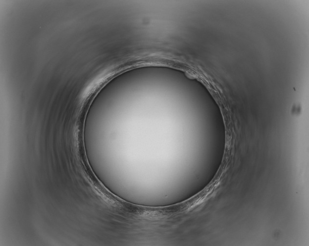 X0000091460341200708161112