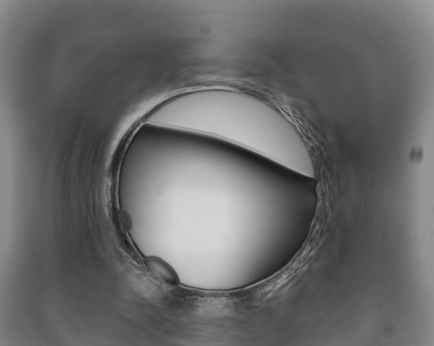 X0000091460342200708161112