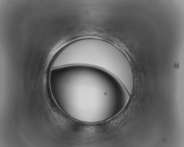 X0000091460344200708161112