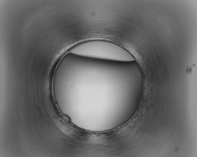X0000091460346200708161112