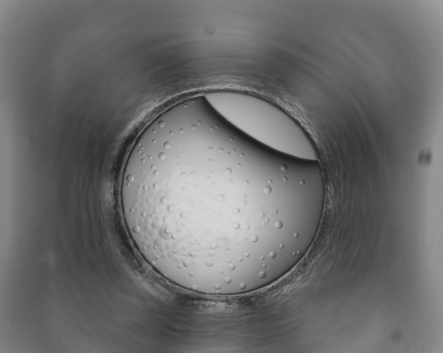 X0000091460347200708161112