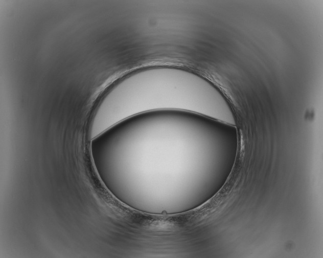 X0000091460348200708161112