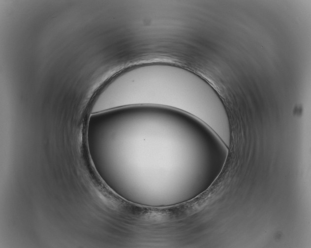 X0000091460350200708161112