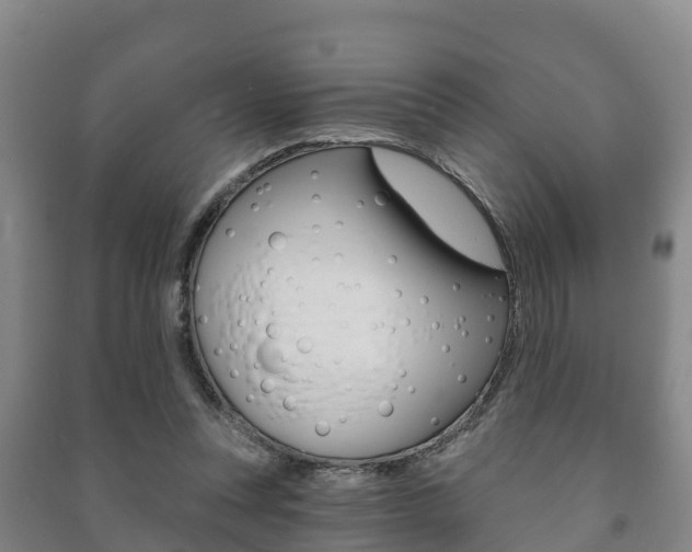 X0000091460351200708161112