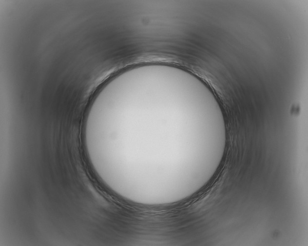 X0000091460352200708161112