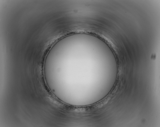 X0000091460353200708161112