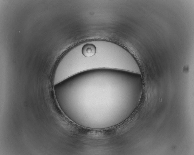 X0000091460354200708161112