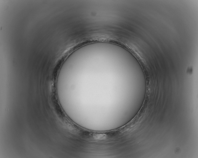 X0000091460355200708161112