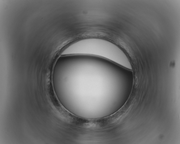 X0000091460356200708161112