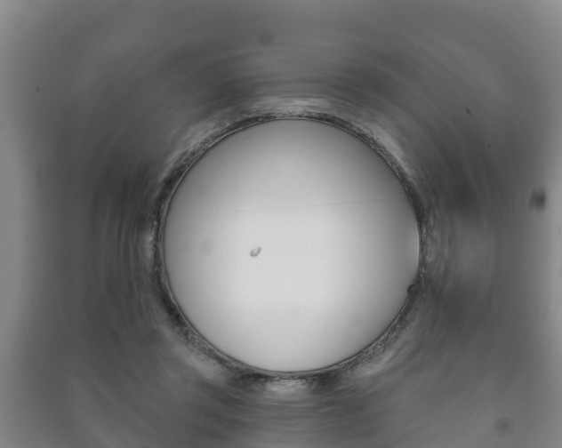X0000091460357200708161112
