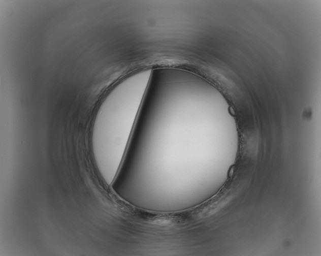 X0000091460358200708161112
