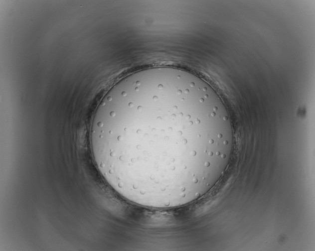 X0000091460359200708161112