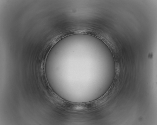 X0000091460360200708161112