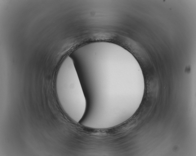 X0000091460362200708161112