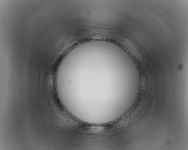 X0000091460363200708161112