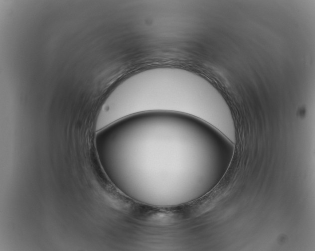 X0000091460364200708161112