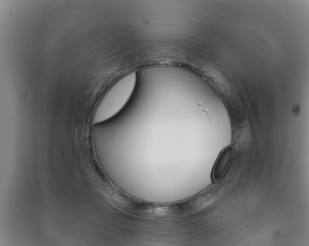X0000091460365200708161112