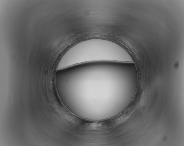 X0000091460366200708161112