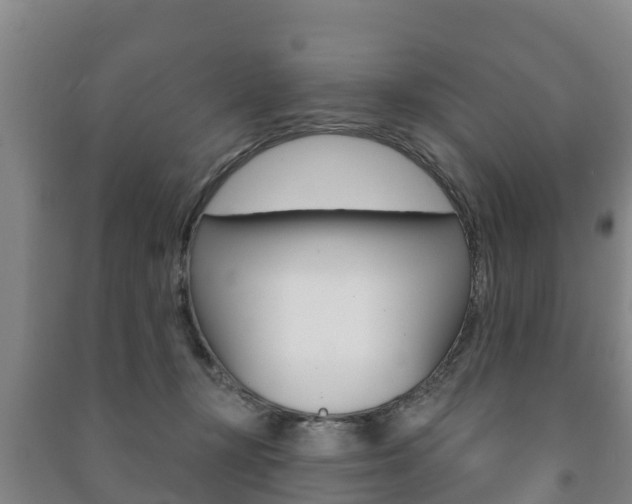 X0000091460367200708161112