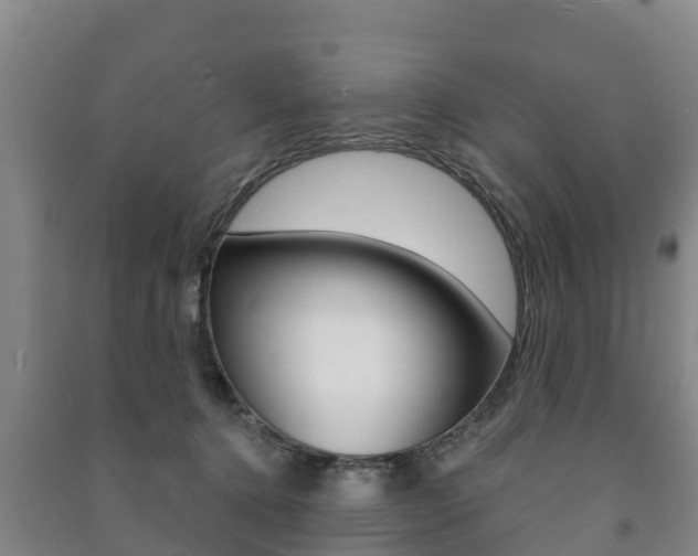 X0000091460368200708161112