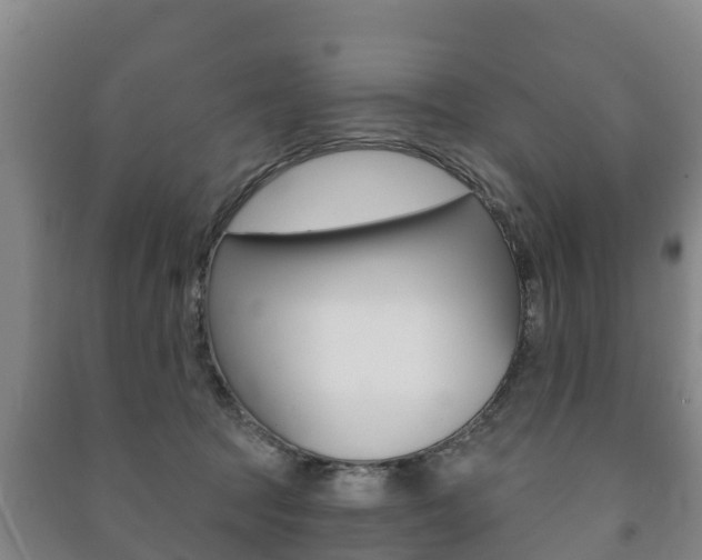 X0000091460369200708161112