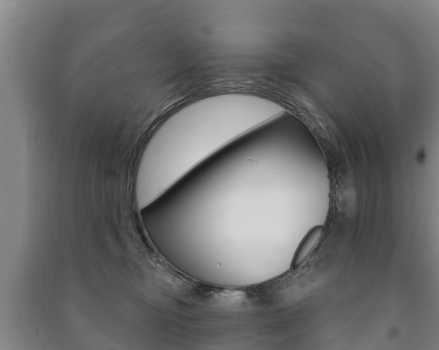 X0000091460374200708161112