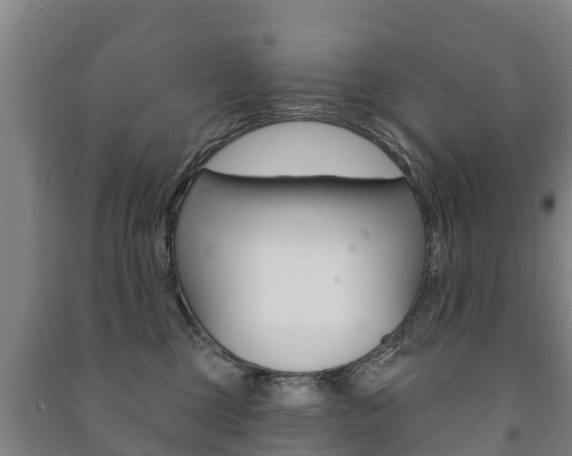 X0000091460377200708161112