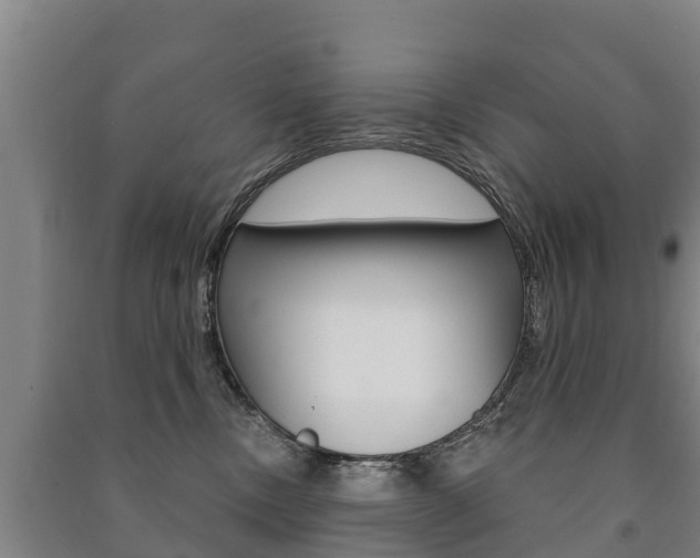 X0000091460378200708161112