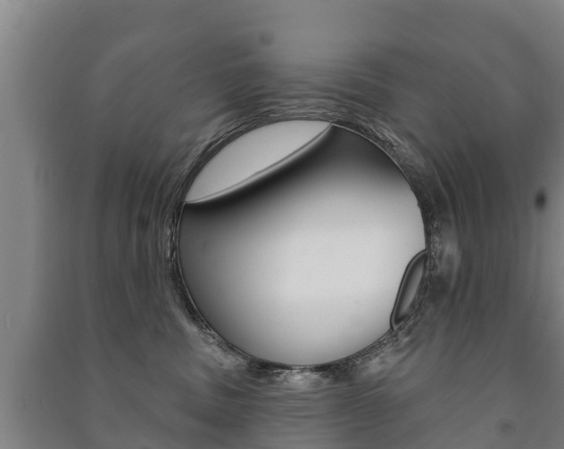 X0000091460379200708161112