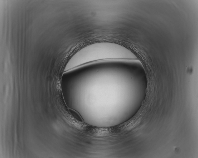 X0000091460384200708161112