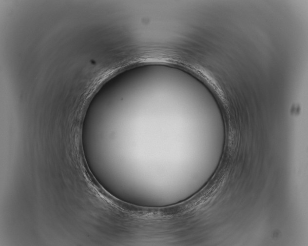 X0000091460385200708161112