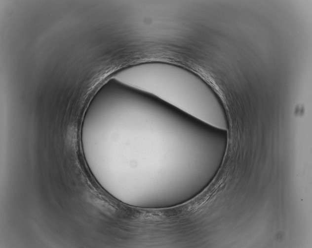 X0000091460386200708161112