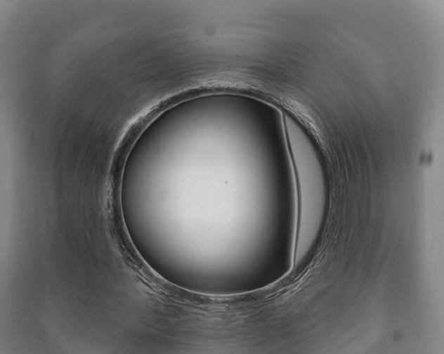 X0000091460388200708161112